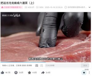 《把远古沧龙做成六道菜》AI综艺B站爆火，播放破千万！