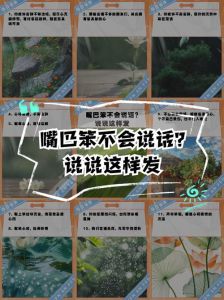 一分钟民间故事的ppt，盘古女娲神仙传，民族精神故事