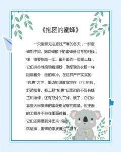 3分钟晨会小故事及感悟，团队协作，发挥所长！