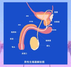 男性身体敏感部位排名，男人敏感点探索，更亲密关系