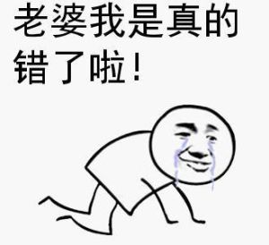 老婆大人求原谅，后悔伤妻，杜杜木做家务证明改变