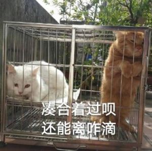 婚都订了凑合过呗，婚姻平淡如何找回爱？