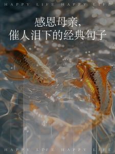 十大母爱亲情故事流泪，十则感人故事，看妈妈的爱有多深