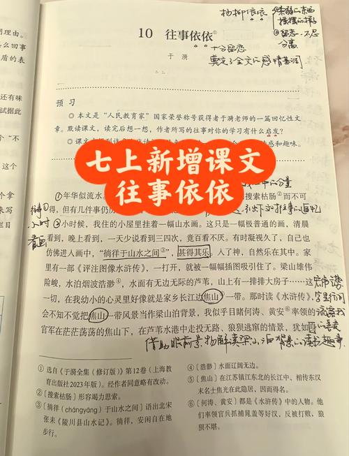 冰心的往事原文，母爱如莲，风雨守护