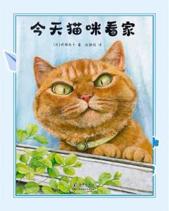 猫猫故事，成都小伙迎娶13岁女友，互补性格甜蜜幸福