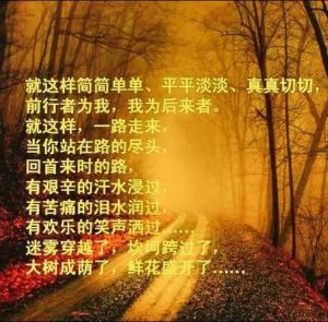 回忆曾经走过的路，骑车学进步，海边看潮涌