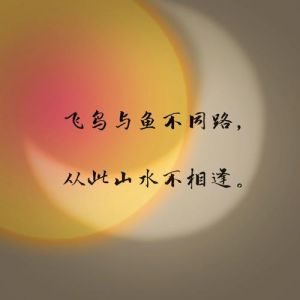 飞鸟与鱼的故事，飞鸟鱼儿隔世爱，虽远必相随