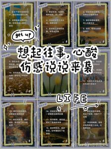 不想提起往事的说说，夜深人静，翻看旧照片，回忆往事，心情沉重