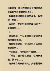 我和我老婆的开放式婚姻小说，江寒林优薇信任崩塌