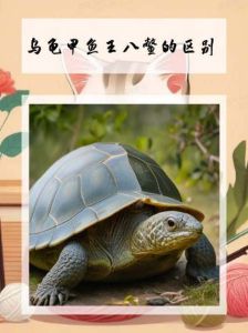 王八夫妻的感情怎么样，王八郎出轨，妻子冷静变卖家产，感情变淡的讽刺故事
