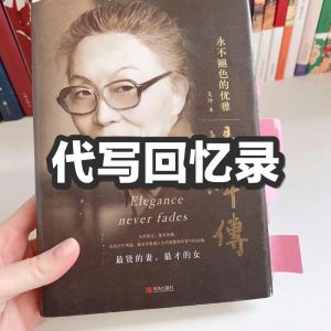 记忆回忆录，跨越时空的爱