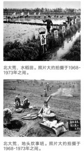 回忆上山下乡第一天的经历，汗水与成长
