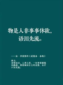 往事犹可鉴，来者甚可追，过去不可谏，未来可追！