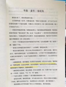 我在农村支教的那些往事小说，支教山村两年，点燃孩子们的希望
