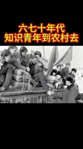 知青上山下乡回忆文章，难忘的知青岁月