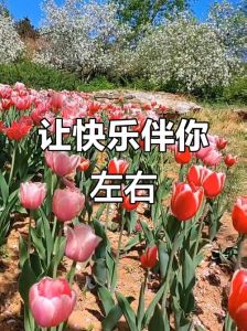 开心快乐的回忆，酸甜交织，精彩无限！