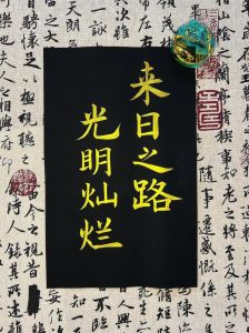 来路光明灿烂往事暗沉不可追，放下过去，向前看，未来充满希望！