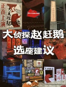 大侦探赵赶鹅全文阅读1，亲历十二载斗罪实录