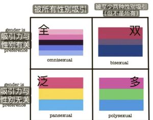 一共有多少种恋爱取向，多元理解，开放心态
