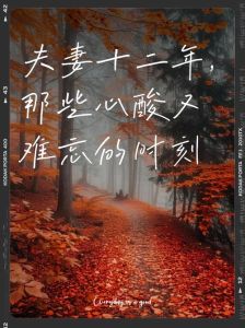 数十年夫妻如初见，平淡日子藏深情