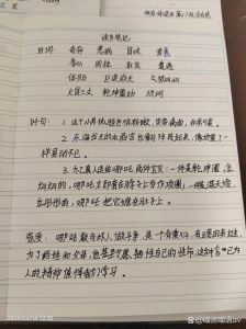 阅读感受是什么，阅读点亮人生，增长见识，陶冶情操，快来读书吧！