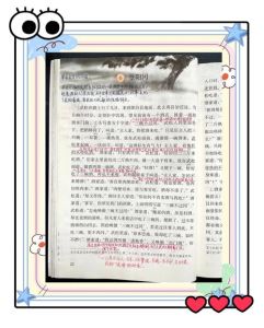 趣事分享：19厘米薄肌上翘粉打桩06的独特魅力与精彩故事