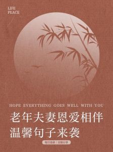 形容一对幸福的老夫妻，夕阳老两口摇椅聊家常，温馨默契显真情