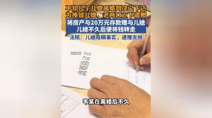离异母亲为了挽回儿子的关系，儿子回老家过年，妈妈因恋爱走极端，母子关系复杂
