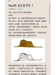 海角网原创32篇：真实小王子的温馨故事与细腻讲述