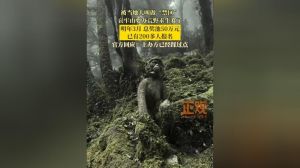 海角禁地的秘密解读：隐藏在荒野中的神秘传说与未知故事
