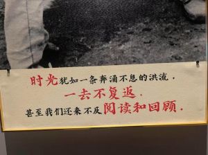 海角的坚持与荣耀：一个肯定能进的故事与励志回忆录