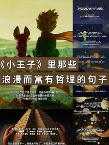 真实小王子海角网：一段动人心弦的原创故事与回忆录分享