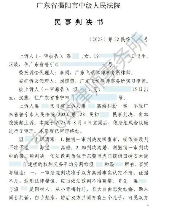 二审一方仍不同意离婚，法律艺术与公平平衡