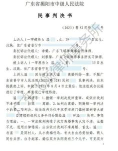 二审一方仍不同意离婚，法律艺术与公平平衡
