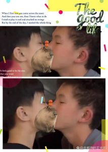 两个小男孩谈恋爱，真心尊重是关键，沟通自然不设限