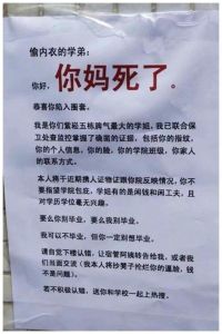 学姐谈个恋爱好不好全文阅读，张起与唐眠的爱情故事