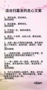 清明节可不可以给老婆，清明祭祖扫墓，传承家族情