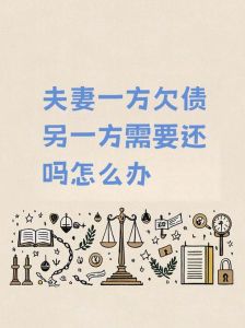 婚前负债婚后是共同债务吗，婚前欠款婚后还？不一定！关键看怎么花！