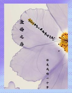 高干老公超爱我，看男女主角一起成长变好