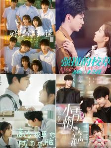 校园青春故事全集，两个女孩的青春奋斗故事