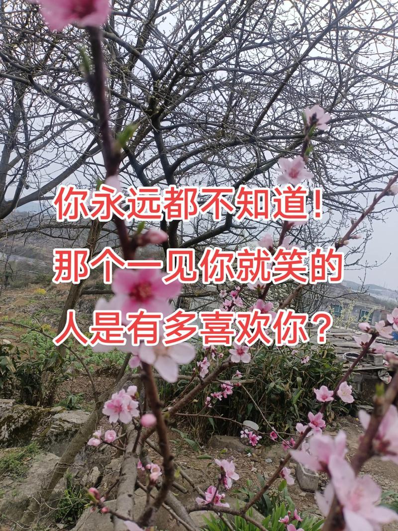 一见你笑是喜欢你吗，陌生人对你笑是啥意思？