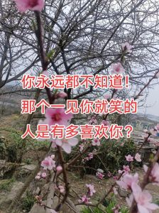 一见你笑是喜欢你吗，陌生人对你笑是啥意思？