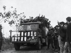 北大荒兵团知青往事，青春岁月的磨砺与荣耀