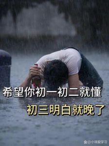 往事是尘封在记忆中的梦，那些美好与遗憾，教会我们珍惜当下