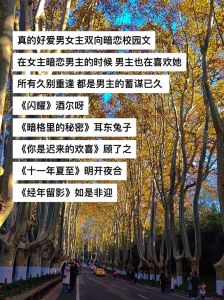 男主女主双向暗恋的小说，偷偷喜欢，最终甜蜜在一起