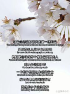有人偷偷喜欢你能感觉到吗，眼神一亮？偷偷喜欢你！