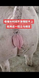 娶母肥科最简单三个步骤，提升爱爱体验，前戏亲密事后照顾全攻略！